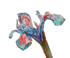 Obraz na płótnie Canvas Blooming blue and orange watercolor iris for postcards, greetings, website design, posters and other types of design. Holiday greeting card.