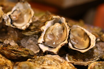 Ostriche