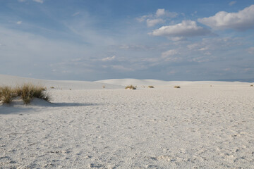 White Sands National Monument
Scenic view of White Sands near the sunset, New Mexico; these are dunes composed of sands of gypsum.