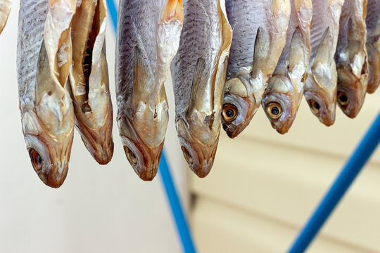 dried fish, salted roach dry on a wire