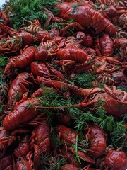 boiled crayfish in dill