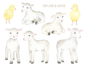 Farm Lambs and Chickens Set