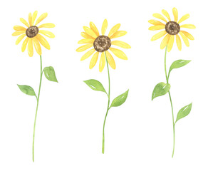 Watercolor Sunflowers Set
