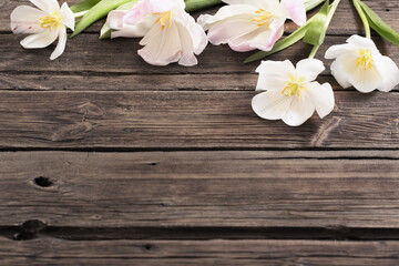 white tulips on old dark wooden background