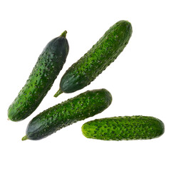 Top view of fresh spring cucumber