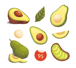 Set realistic fresh avocado fruit. Slice and whole avocados. Vegan food vector illustration in cartoon style.