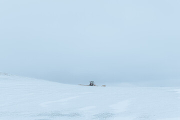 Naklejka na ściany i meble Tractor in a snow covered field feeding sheep