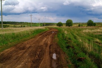 Fototapeta na wymiar rural landscape on a cloudy spring day