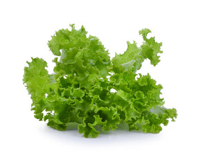 Fototapeta premium Salad leaf. Lettuce isolated on white background.