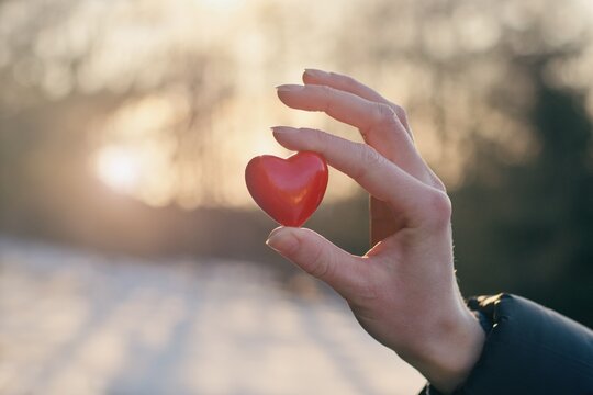 Woman holding red heart in her hands. Organ donation, charity, health care, cardiology, health insurance, love and family