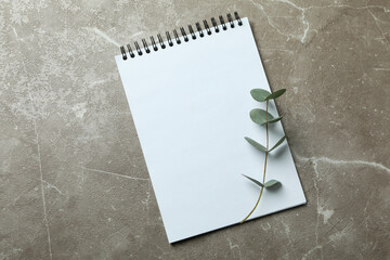 Notebook and eucalyptus twig on gray textured background