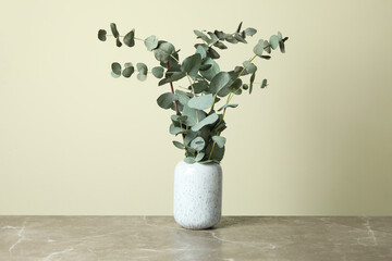 Vase with eucalyptus branches on light beige background