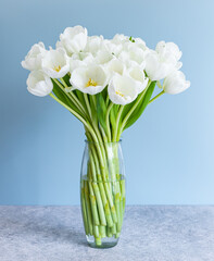 White tulips in transparent vase on color background. Spring concept.