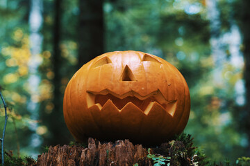 halloween pumpkin on a tree