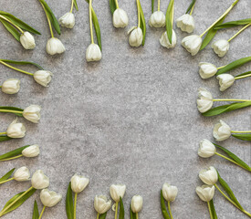 Frame of fresh tulips arranged on old stone background