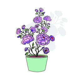 Naklejka na ściany i meble Flowers in a pot. Decorative violet flowers.