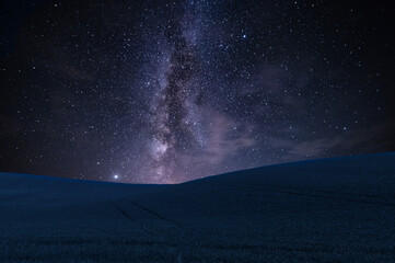 Fototapeta na wymiar Landscape with field and Milky way