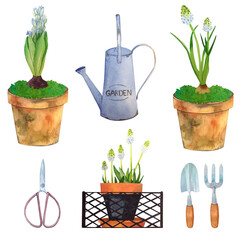 Watercolor set with elements of gardening on a white background: blue hyacinth, white muscari in a pot, garden scissors, spatula and pitchfork, vintage watering can.

