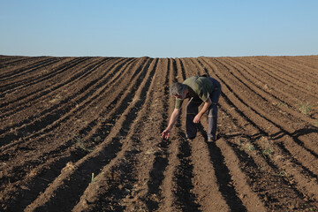 Farmer or agronomist inspecting ground in field in early spring after land plowing, agricultural...