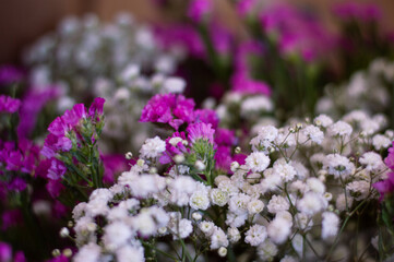 Bouquet of white flowers and small roses. Spring flowers wallpaper. Immortal