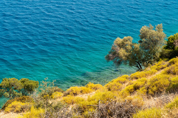 Summer concept: Sea view to blue turquoise waters from a sharp cliff with trees and herbage