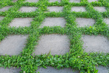 abstract background of tiled walkway in the park with grass punching between the joints close up