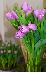 Gentle romantic bouquet of fresh purple spring flowers - tulips in a glass vase. Selective focus. Floral greeting card or vertical banner.