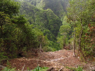 Stroma skała, widok w dół, w górach na Maderze © vofchok
