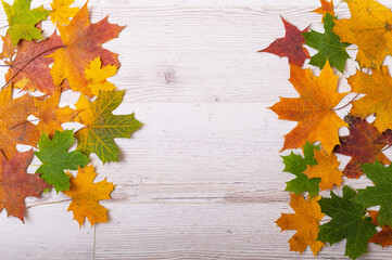 Naklejka na ściany i meble Multicolored maple leaves on a wooden background. Copy space