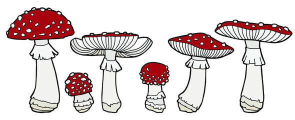 Vector illustration. Fly agarics of different sizes. Mushroom set.