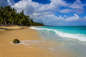 Mauritius, beach with palm trees
