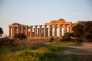 Fototapeta na wymiar Temple of Silinunte in Sicily