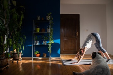 woman with dog doing yoga at home houseplants in background