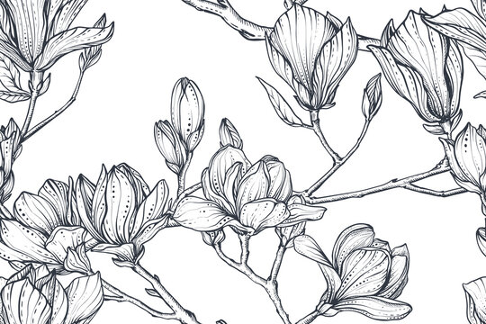 Vector floral seamless pattern of magnolia branches. Romantic elegant endless background