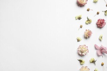 Beautiful fresh and dry flowers on white background, flat lay. Space for text