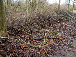 Holz Schäden nach Unwetter nass