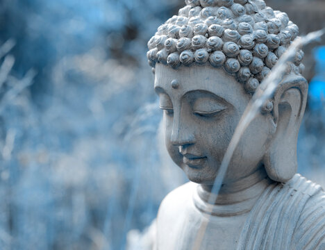 Head of buddha statue in the garden in blue tones