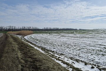 Winter landscape, field, sky.