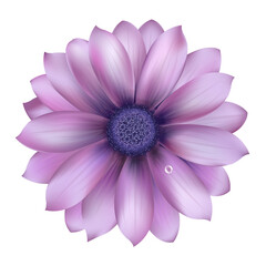Lilac Flower With Water Drop, Vector Background