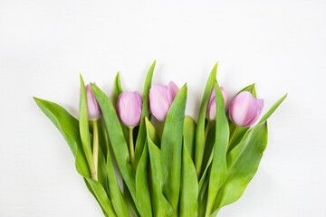 Tulips on a white background. Festive floral concept with clean text space. Flat lay. View from above.