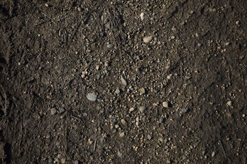 Roadside soil.