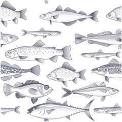 Seamless fish background, patterm of tuna, trout, mackerel and other commercial fish and seafood wallpaper, vector