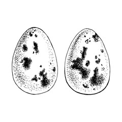 Hand drawn two Easter eggs set.