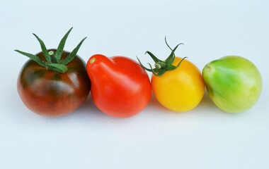 tomatoes in color