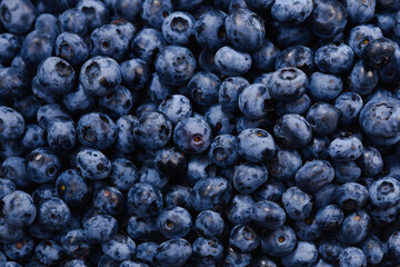 Fresh blueberry background. Texture blueberry berries close up.