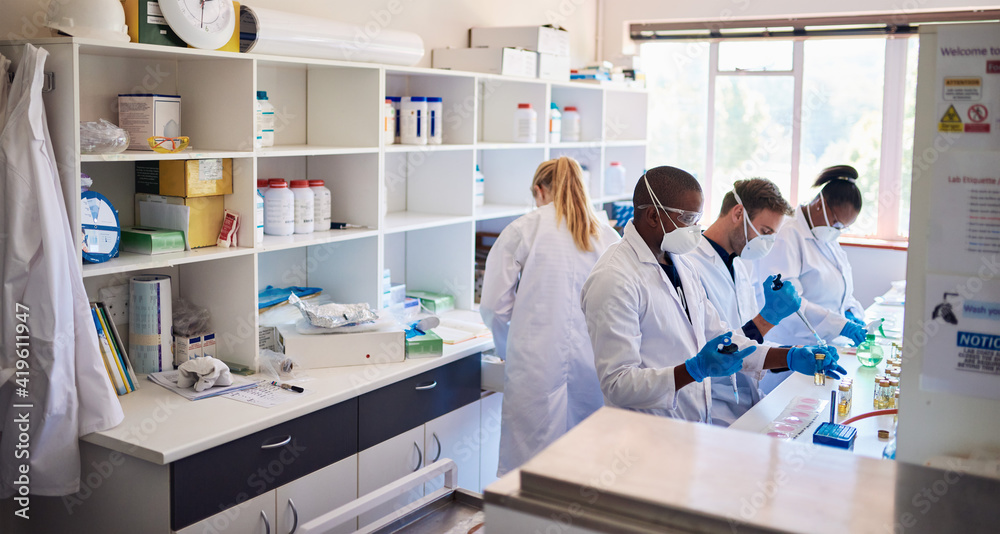 Wall mural Diverse group of technicians analyzing samples in a lab