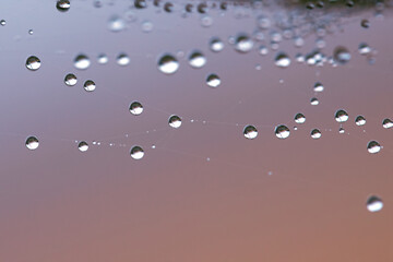 Partial blur view lines spider web necklace. beautiful natural pattern