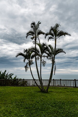 terrace with palm trees and lawn, gazebo overlooking the sea and cloudy sky - 419612928