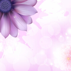 Lilac Gerbers And Paint Splash, Vector Background