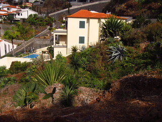 Zarośnięty teren przy budynku na Maderze